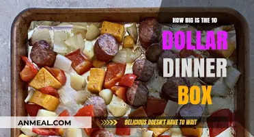 Unveiling the Size of the $10 Dinner Box: A Complete Guide
