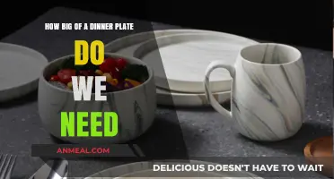 Choosing the Right Dinner Plate Size for Healthy Portions and Enjoyment