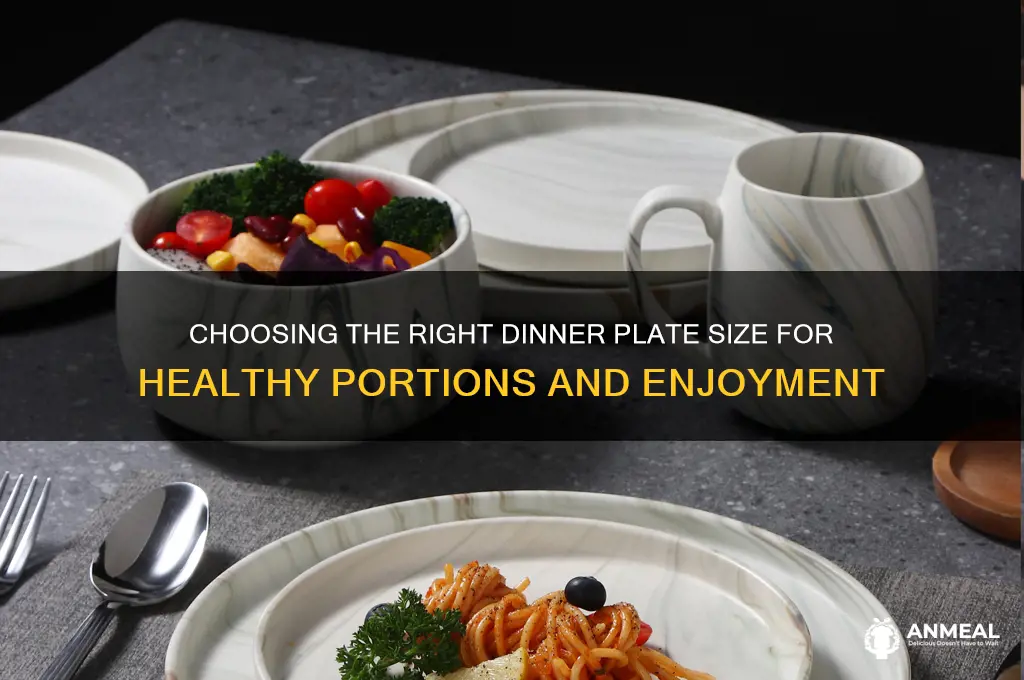 how big of a dinner plate do we need