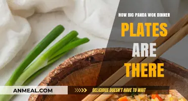 Discover the Perfect Size of Big Panda Wok Dinner Plates