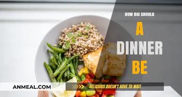 Perfect Portions: How Big Should Your Dinner Really Be?