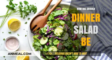 Perfect Portions: Crafting the Ideal Size for Your Dinner Salad