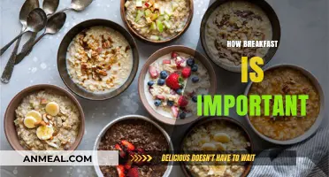 Fuel Your Day: The Power of Breakfast for Optimal Health