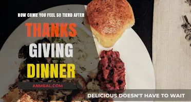Why Thanksgiving Dinner Leaves You Exhausted: Unraveling Post-Feast Fatigue