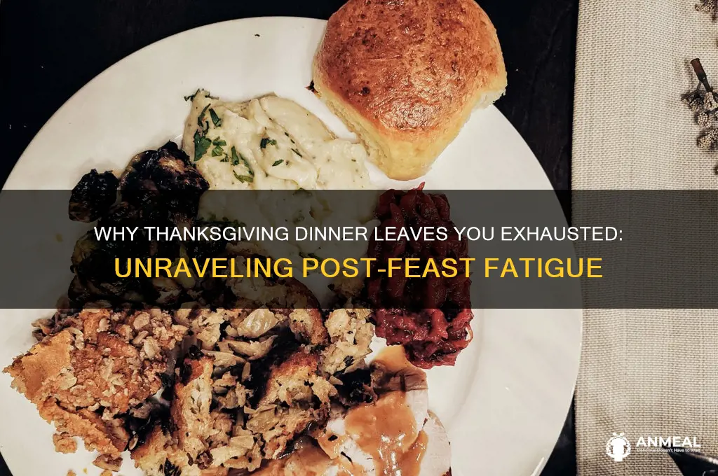how come you feel so tierd after thanks giving dinner