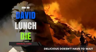 The Tragic Demise of David Lunch: Unraveling the Mystery