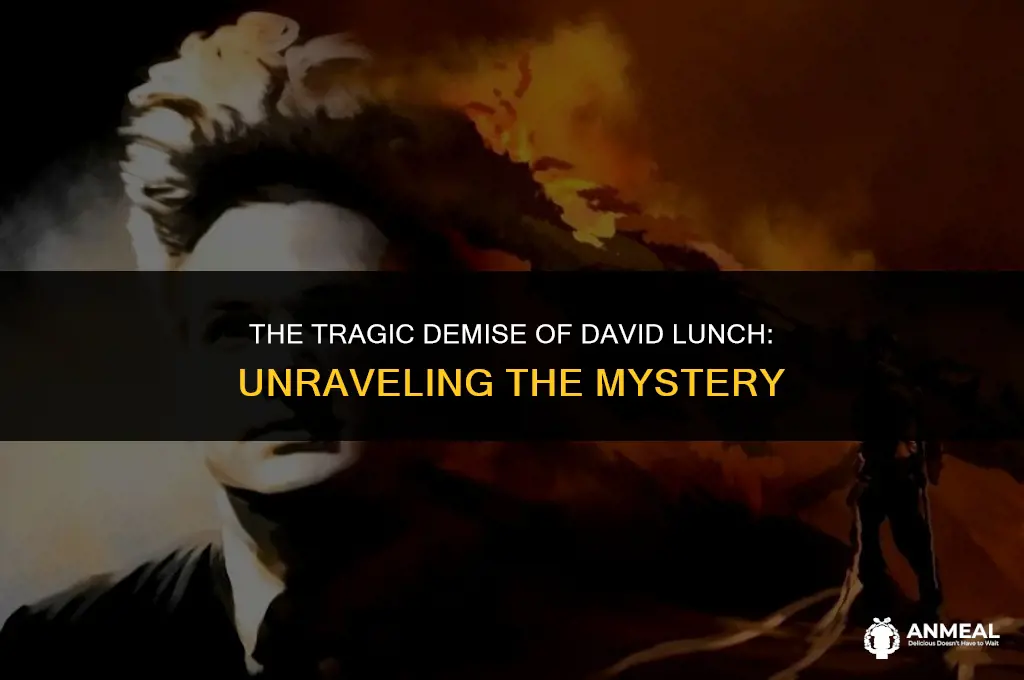 how did david lunch die
