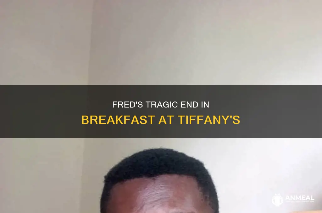 how did fred die in breakfast at tiffany