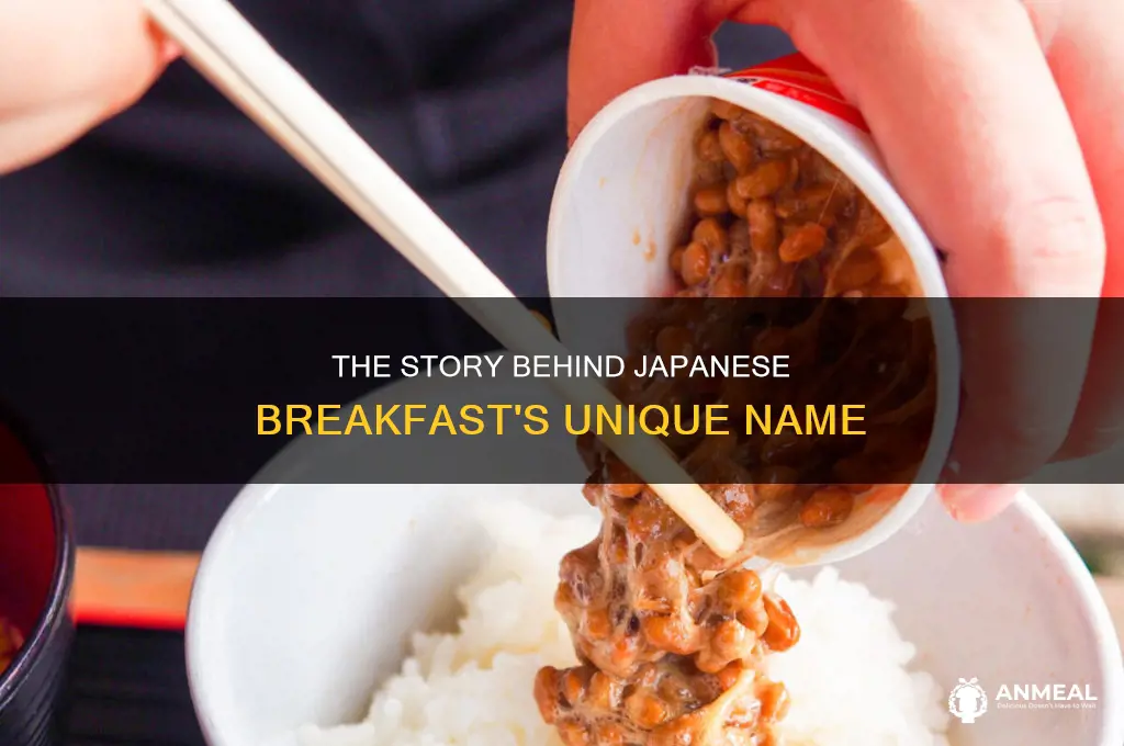 how did japanese breakfast get their name