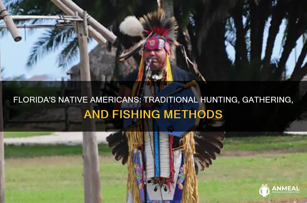 how did native americans in florida get their dinner