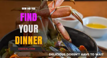 Discovering Delicious: My Unexpected Journey to the Perfect Dinner