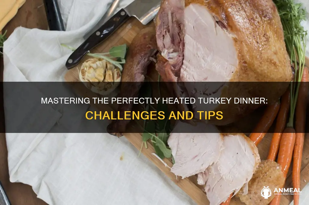 how difficult is it to heat turkey dinner