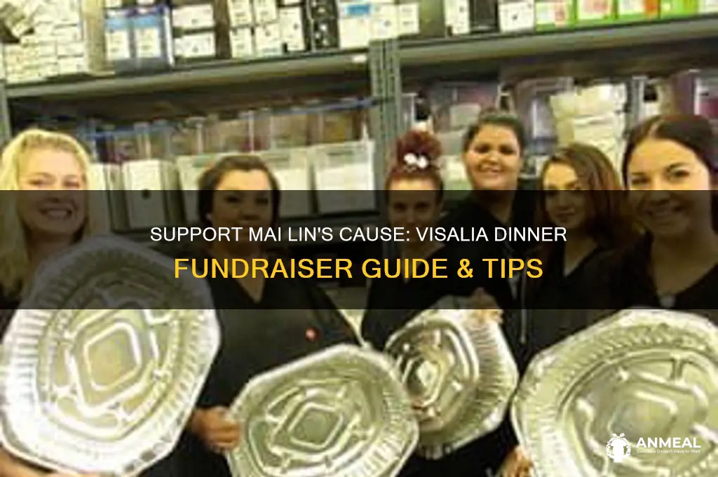 how dinner fund raiser for mai lin visalia ca