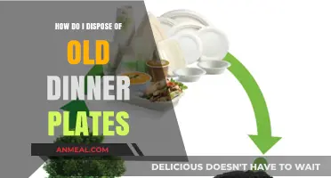 Eco-Friendly Ways to Dispose of Old Dinner Plates Responsibly