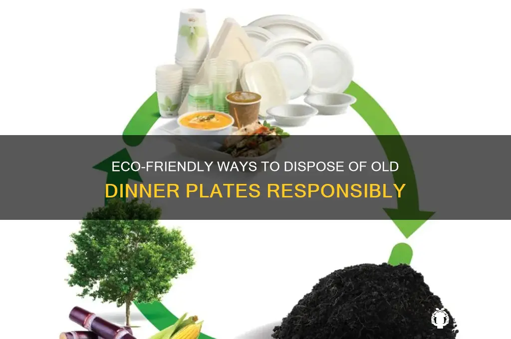 how do i dispose of old dinner plates