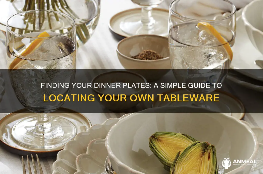 how do i find the dinner plates that i own