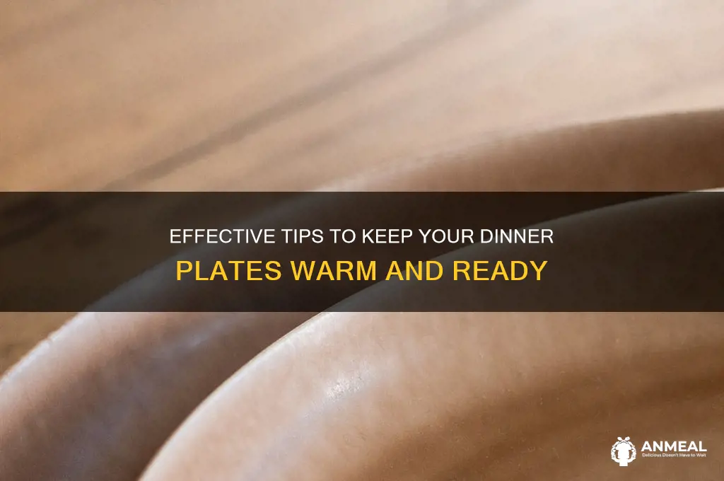 how do i keep dinner plates warm