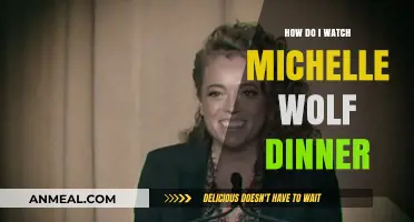 How to Watch Michelle Wolf's Hilarious White House Correspondents' Dinner