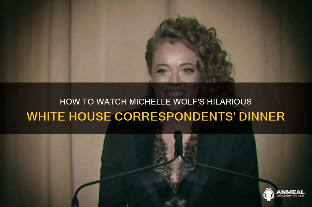 how do i watch michelle wolf dinner