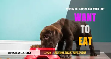 Decoding Pet Snack Behavior: When Treats Take Over