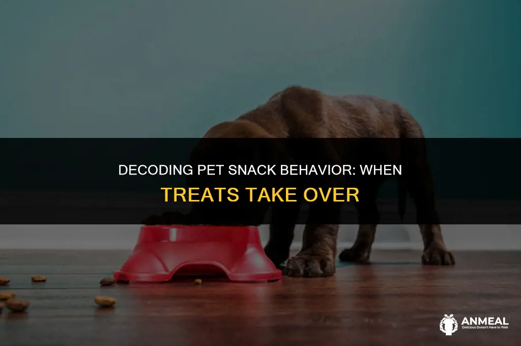 how do pet snacks act when they want to eat