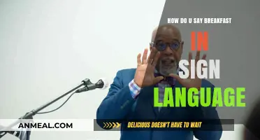 Breakfast in Sign Language: Communicating a Morning Meal