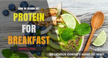 Vegan Breakfast Protein: Easy, Nutritious Morning Meals