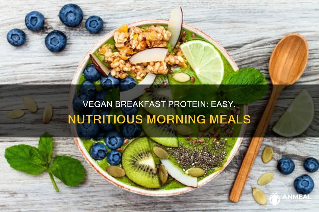 how do vegans get protein for breakfast