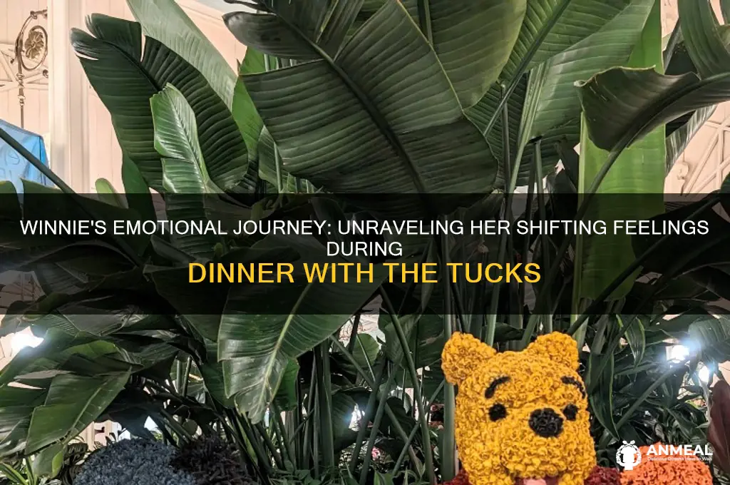 how do winnie