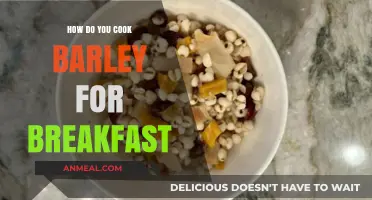 Barley Breakfast: Cooking the Perfect Morning Barley