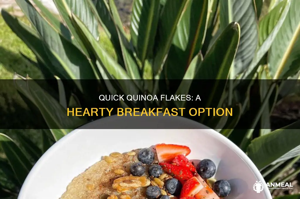 how do you cook quinoa flakes for breakfast