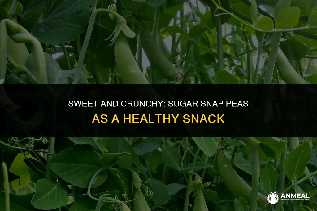 how do you eat sugar snap peas as a snack