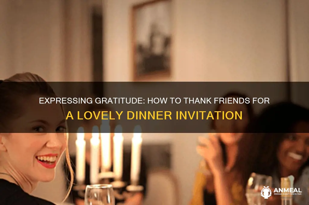 how do you express nice dinner friends invied you