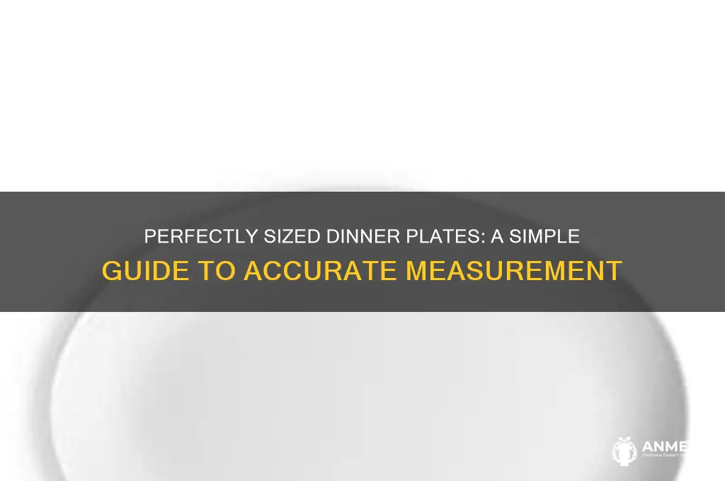 how do you measure a dinner plate