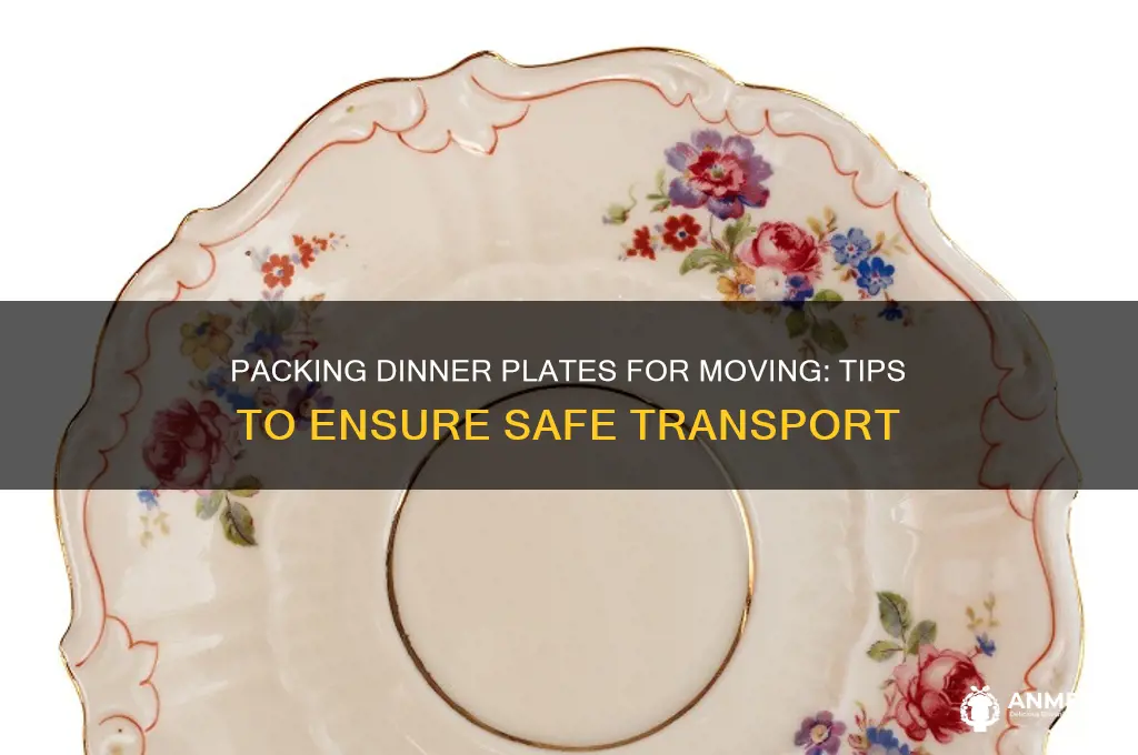 how do you pack dinner plates for moving