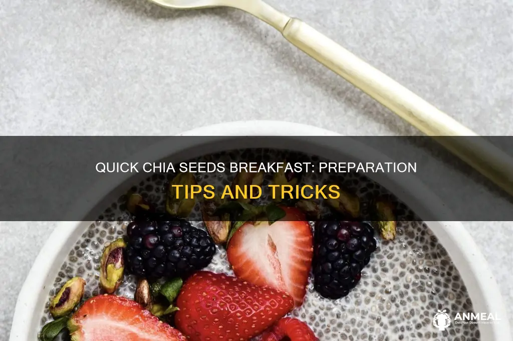 how do you prepare chia seeds for breakfast