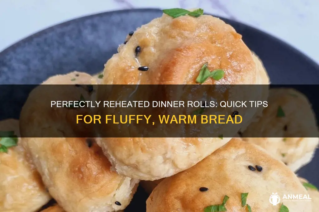 how do you reheat dinner rolls
