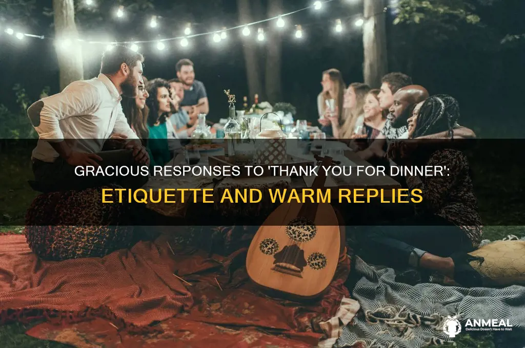 how do you respond to a thank you for dinner