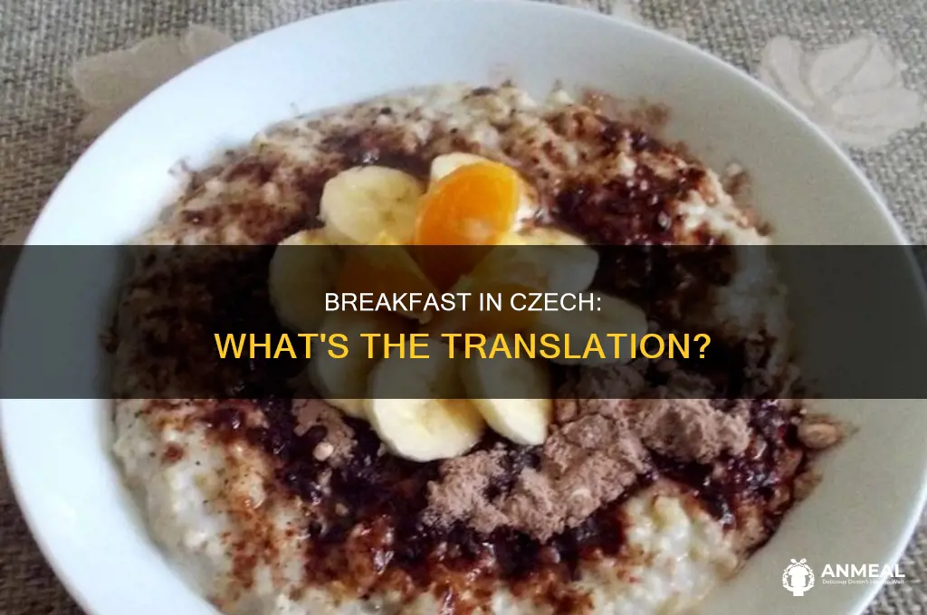 how do you say breakfast in czech