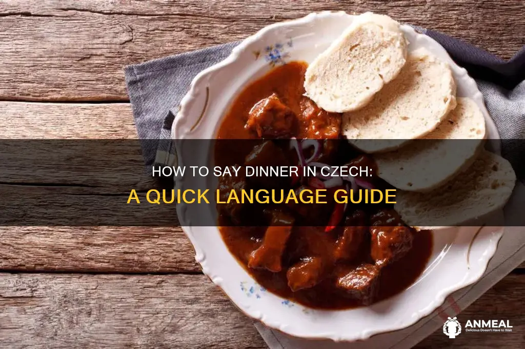 how do you say dinner in czech