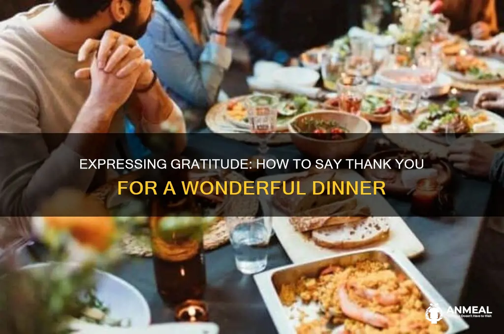 how do you say thank you for a wonderful dinner
