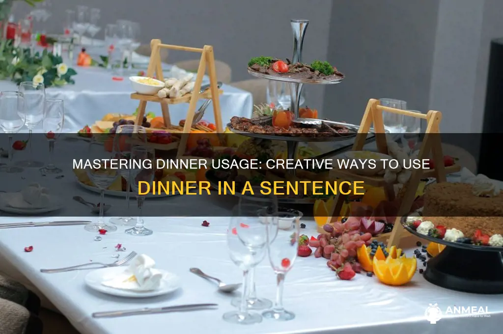 how do you use dinner in a sentence