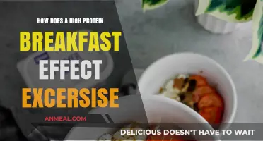 Protein-Rich Breakfasts: Fueling Workouts and Results