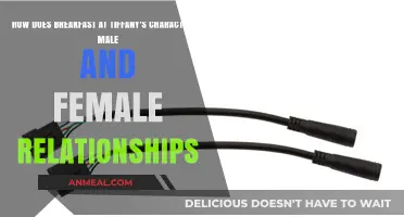 Breakfast at Tiffany's: Gender Dynamics Explored