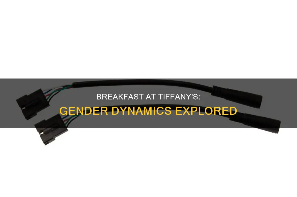 how does breakfast at tiffany