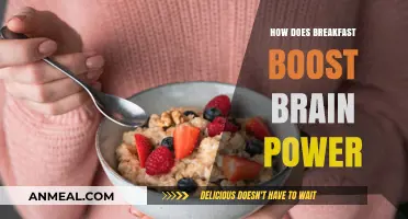 Breakfast Brain Power: Fueling Focus and Learning