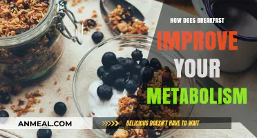 Breakfast: Boosting Metabolism, Enhancing Energy