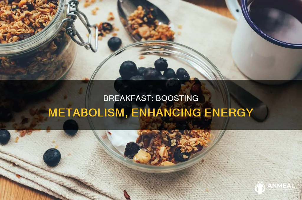 how does breakfast improve your metabolism