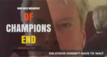 Breakfast of Champions: The End Explained