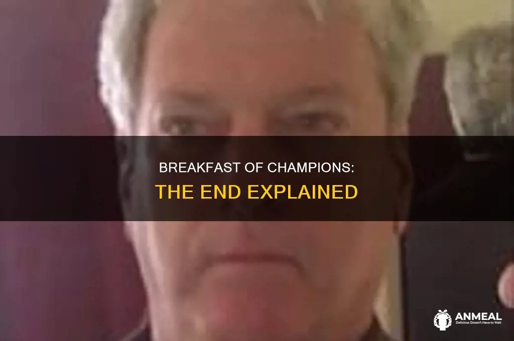 how does breakfast of champions end